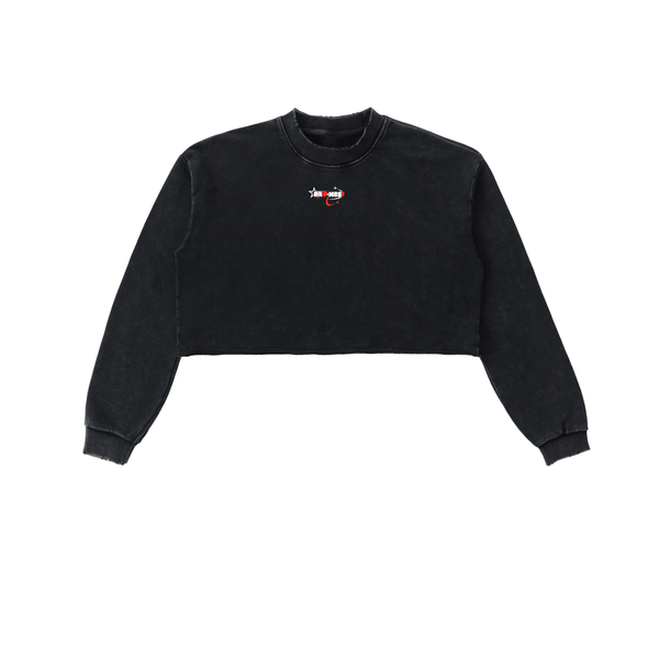 Snow Washed Raw Edge Cropped Sweatshirt